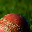 A red cricket ball in the grass