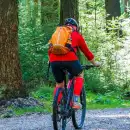 A cyclist riding a forest track