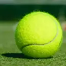 A tennis racket and ball on a court line
